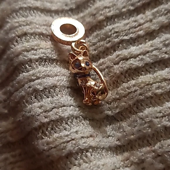 Golden Cat - Picture 5 of 6